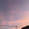 黄泽荣z - 反对无效