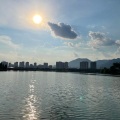 杨主任Revive - 朋友