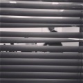 H - Say Hello
