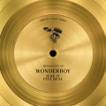wonderboy - Jerk It