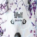 LATE - Wolf