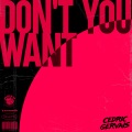 Don't You Want (Extended Mix)