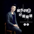 被伤的心还能爱谁 DJ版