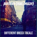 Different Breed Tbeale、Drizzy - Bertified (Explicit)