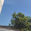 桃园灬杰少 - 如果有一天