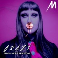 Melotika、Teddy Hits、Pesukone - Crazy (TeddyHitsRemix)