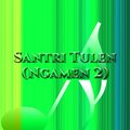 Ratna Antika - Santri Tulen (Ngamen 2)