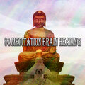 64 Meditation Brain Healing