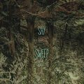 Shy Napaco、Shy - Sweep (Extended Mix)