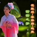 甜甜之梦-花鼓戏【喜脉案】选段