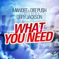 What You Need (Radio Mix)