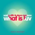 What Is Luv (Radio Mix)