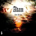 LATE - Adam