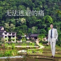 一抹茶香 - 无法逃避的痛