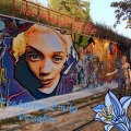 DonDizzle、Emily Vaughn - Not Meant To Be