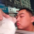 张不凡 - 南燕