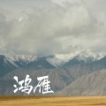 许哲凡 - 鸿雁