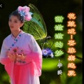 甜滋滋的梦-花鼓戏-喜脉案选段-完整版