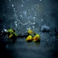 Old_James - 忧伤飘满雨季