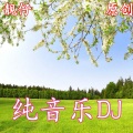 再叫一声亲爱的真的好想你 (DJ版)