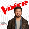 Roxanne (The Voice Performance)