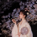 我在春天等你