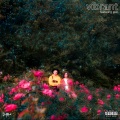 Vibrant (Explicit)