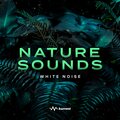 White Noise、Kurrent - Forest + White Noise