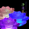 墨痕Sky、Lever - 桃花诺