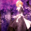 凉宫樱Sakura - ANIMA