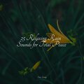 Relaxing Nature Sounds Collection、Entspannungsmusik Oase、Sleeping Baby Songs - White Noise Waters