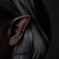 shihensama - eLVeS?