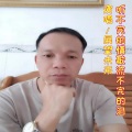 展望未来 - 听不完的情歌流不完的泪