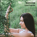 Brain Timbre、Music for Sleep、Solfeggio Healing Frequencies MT - Nature and Birds
