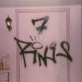 Camelia_junjun - 7 rings