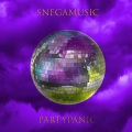 SnegaMusic - Hide the Memories