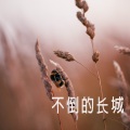 木一树 - 有血有肉