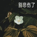 木一树 - 有困难找兄弟