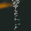 White Noise Babies、Egyptian Meditation Temple - Night Droplets
