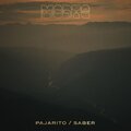 Pajarito / Saber
