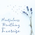 Mindfulness Breathing Exercise