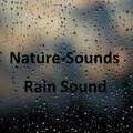 Nature Sounds Natural - Downpour and Thunder