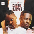 Shadow_001、ゾロ - CHIOMA AJUNWA (feat. Zoro)(Explicit)
