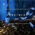苍梧谣 - 月亮带走了整片夜色