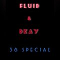 FLUID - 38SPECIAL (Explicit)