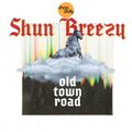 Chop Daily、Shun Breezy - Old Town Road