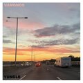 Yungle - Vámonos