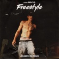 Freestyle (Explicit)