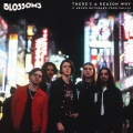 Blossoms - There's A Reason Why
