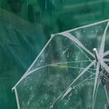 Bossa Curve - Drizzle